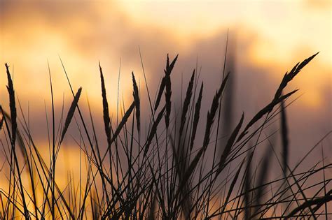 Kostenlose Hintergrundbilder Pc Natur | Sammlung von Hintergrundmodellen