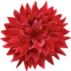 Flower Red PNG Clip Art Transparent Image | Gallery Yopriceville - High ...