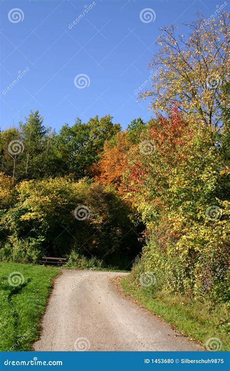 Round the bend stock photo. Image of decidual, beautiful - 1453680