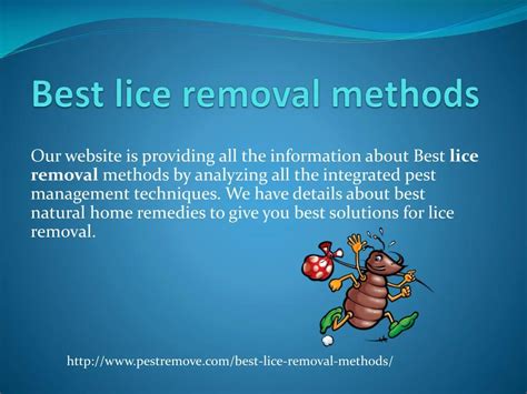 PPT - BEST LICE REMOVAL METHODS PowerPoint Presentation, free download - ID:7893051