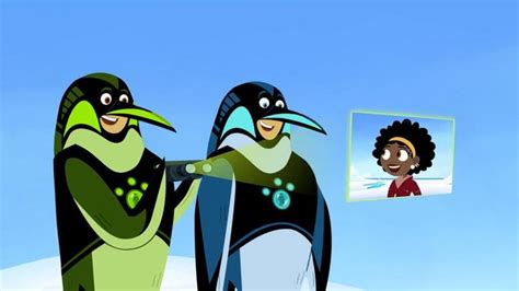 Wild Kratts - Penguin Power Video | PBS KIDS