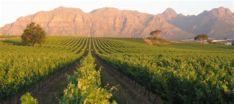 South Africa Winelands Holidays