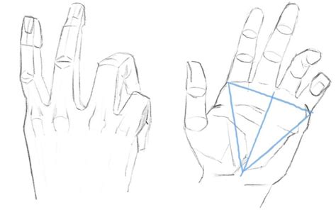 How to Draw Hands (Beginner + Advanced) Hand Drawing Tips