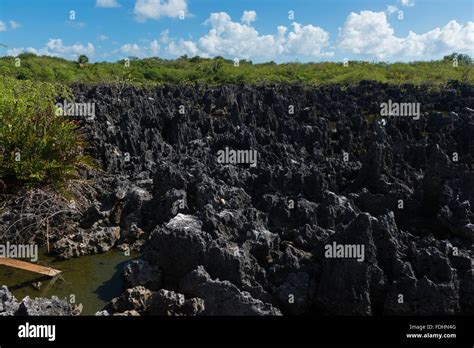 Grand Cayman Hell Limestone Landscape Stock Photo - Alamy