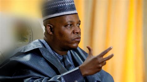 Power should shift to South: Ex-Borno gov. Shettima