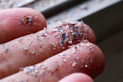 What Are Microplastics?