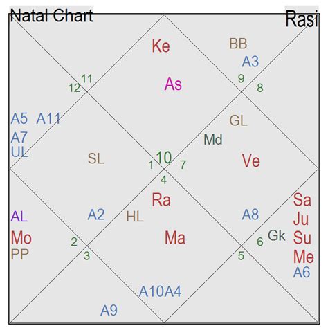 How To Read D60 Chart In Vedic Astrology - Chart Examples