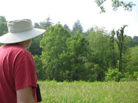 Local Bird Watching Groups | Smoky Mountain Rose Manor