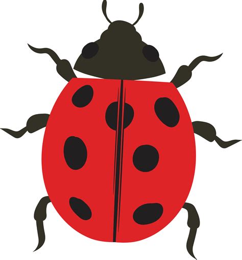 Ladybug top view 2d illustration 11505540 Vector Art at Vecteezy