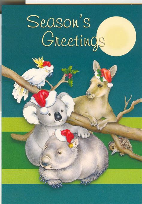 Christmas Cards From Australia | Australian christmas cards, Aussie christmas, Christmas photo cards