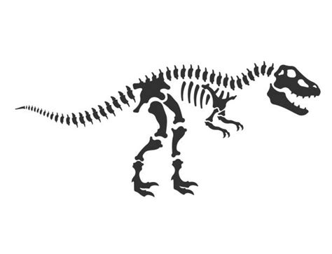 Dinosaur Bones Stock Photos, Pictures & Royalty-Free Images - iStock