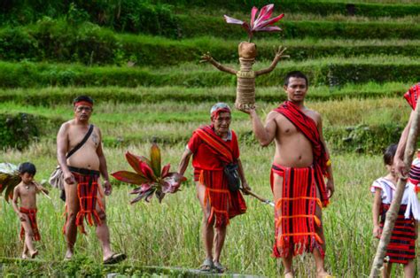 On the edge: Saving Ifugao rice terraces | Inquirer News