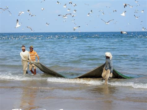 Oman Fishermen Free Stock Photo - Public Domain Pictures