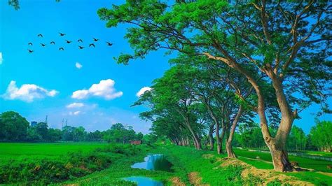 Wild Beauty Of Bangladesh’s Landscape Revealed By Cameraman’s Stunning ...