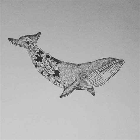 Whale drawing i did :) : r/whales