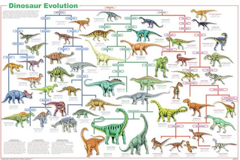 Dinosaurios Clasificacion - SEO POSITIVO