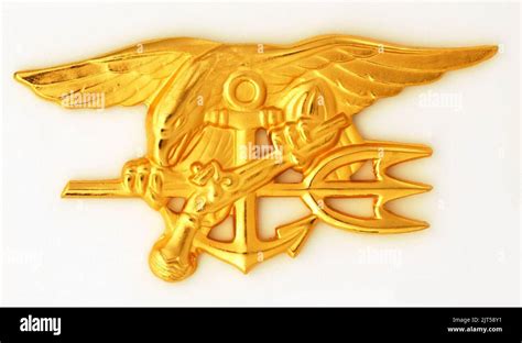 U.S. Navy SEALs Special Warfare insignia Stock Photo - Alamy