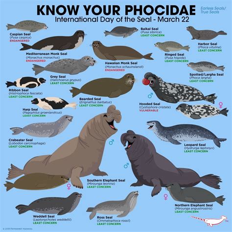 Pin by Veronika Bayerová on Know your... | Animal infographic, Fun facts about animals, Animal facts