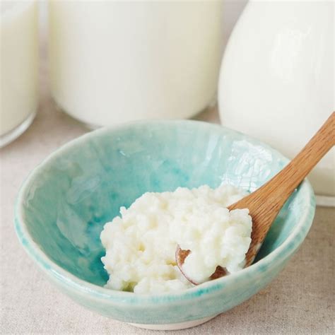 Are current regulations for fermented kefir enough? — ISAPP Students ...