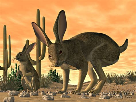 "Desert Hares" - Capsces