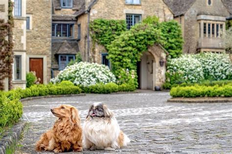 The best dog-friendly hotels in the Cotswolds