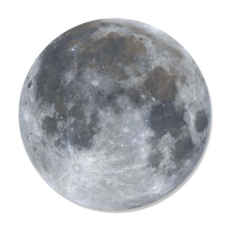 Full Moon Wall Cutout – mycardboardcutout