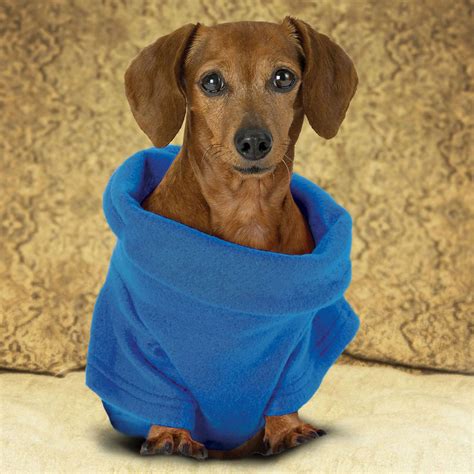 Snuggie for Dogs | The Green Head