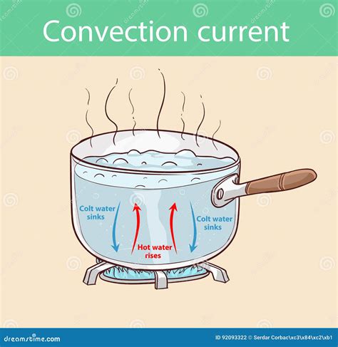 Diagram Illustrating How Heat is Transferred in a Boiling Pot Stock ...