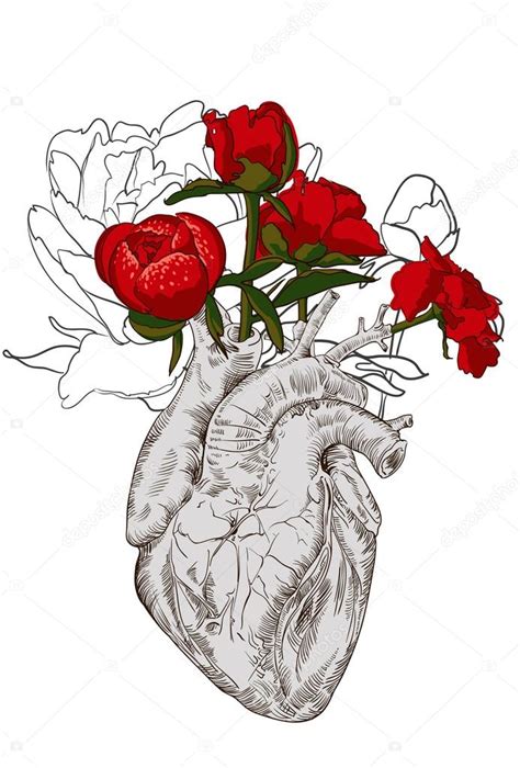 Drawing Human heart with flowers Stock Vector Image by ©mamziolzi #85224990