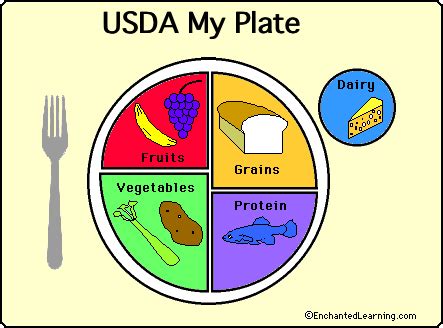 USDA Food: My Plate - EnchantedLearning.com