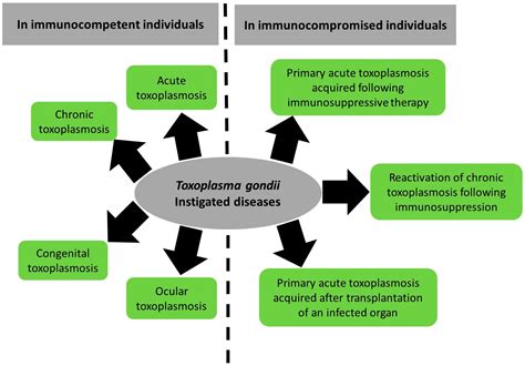 Congenital Toxoplasmosis