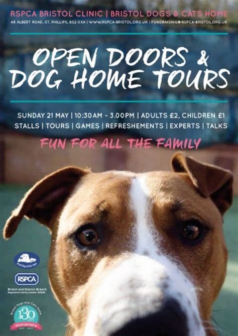 Bristol Dogs and Cats Home opens its doors for a special public event ...