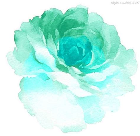 teal colored flower | My best teal | Pinterest