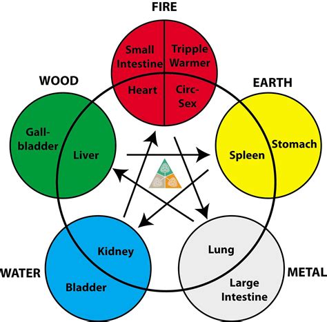 5-elements-colour - EMPOWERING HEALTH