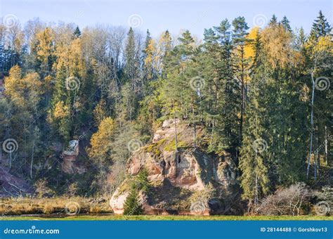 Sandstone Cliff on Amata River, Latvia Stock Photo - Image of salmon, cesis: 28144488