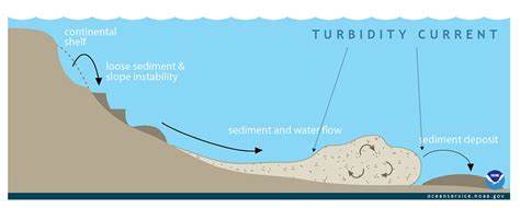 How Do Earthquakes And Landslides Trigger Tsunamis - The Earth Images ...