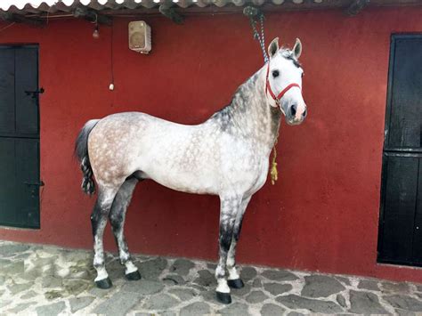 Mexico City Ranch Stay | Ranch Holidays in Mexico | Unicorn Trails