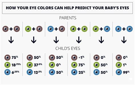 Child Eye Color Calculator