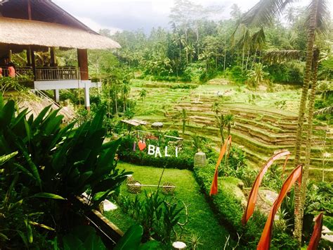 A Bali of Life – A Ballet of Life