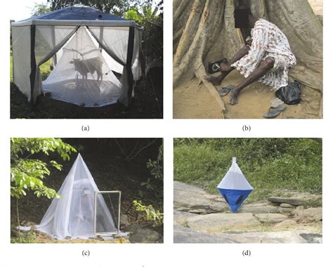 Figure 2 from The Search for an Efficient Black Fly Trap for Xenomonitoring of Onchocerciasis ...