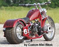 Custom Mini Choppers – Why they matter