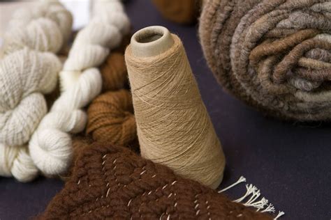 Raw Alpaca Fiber Possesses Antibacterial Properties | Fashion Blog by Apparel Search