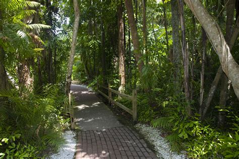 Welcome to the Jungle! | Sarasota jungle gardens, Biblical garden, Sarasota