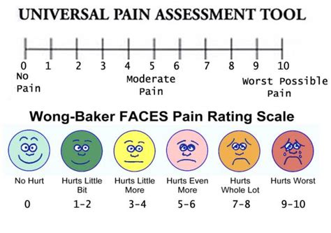 Wong-baker Scale Vector Related Keywords & Suggestions - Wong-baker Scale Vector Long Tail Keywords