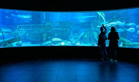 Antalya Aquarium - Architizer