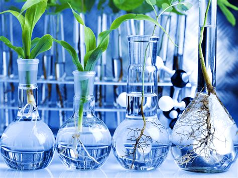 Plant Biotechnology Wallpapers - Top Free Plant Biotechnology Backgrounds - WallpaperAccess