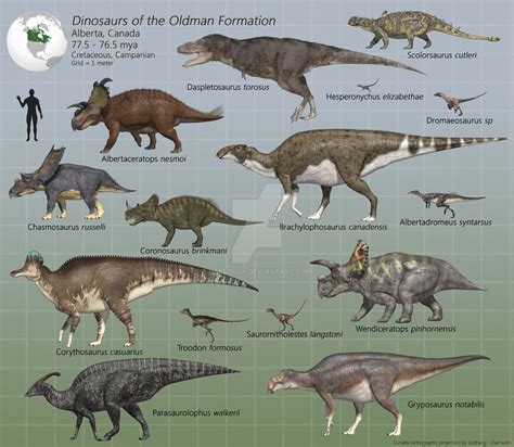 Dinosaurs of the Oldman Formation by PaleoGuy | Prehistoric animals, Dinosaur, Dinosaur fossils