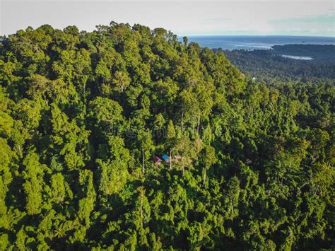 Manusela National Park in Seram Island Stock Image - Image of nature ...