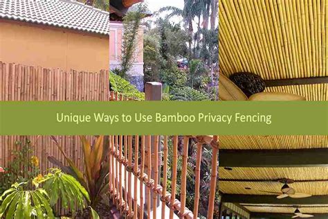 Unique Ways to Use Bamboo Privacy Fencing