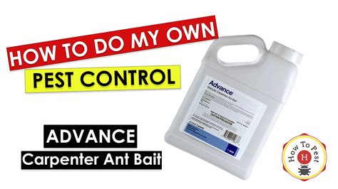 Advance Carpenter Ant Bait - How To Pest -Free Shipping